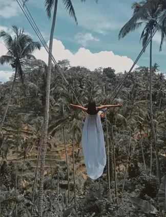 Ubud Bali Swing