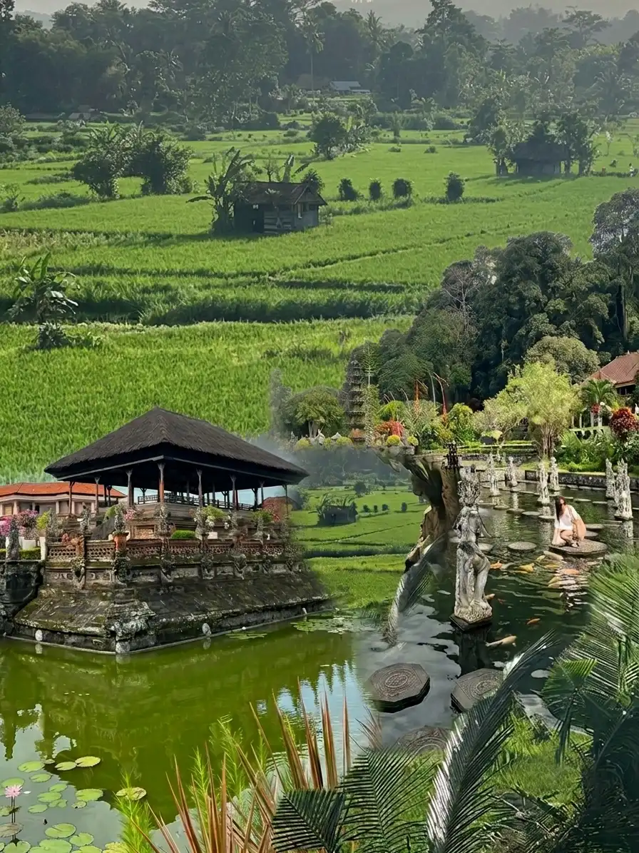 East Bali Tour with Sidemen Rice Terraces, Tirta Gangga and Besakih Temple