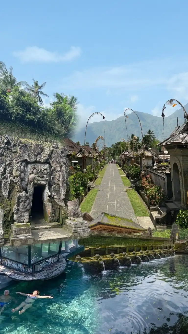 Goa Gajah Temple and Penglipuran Village Tour