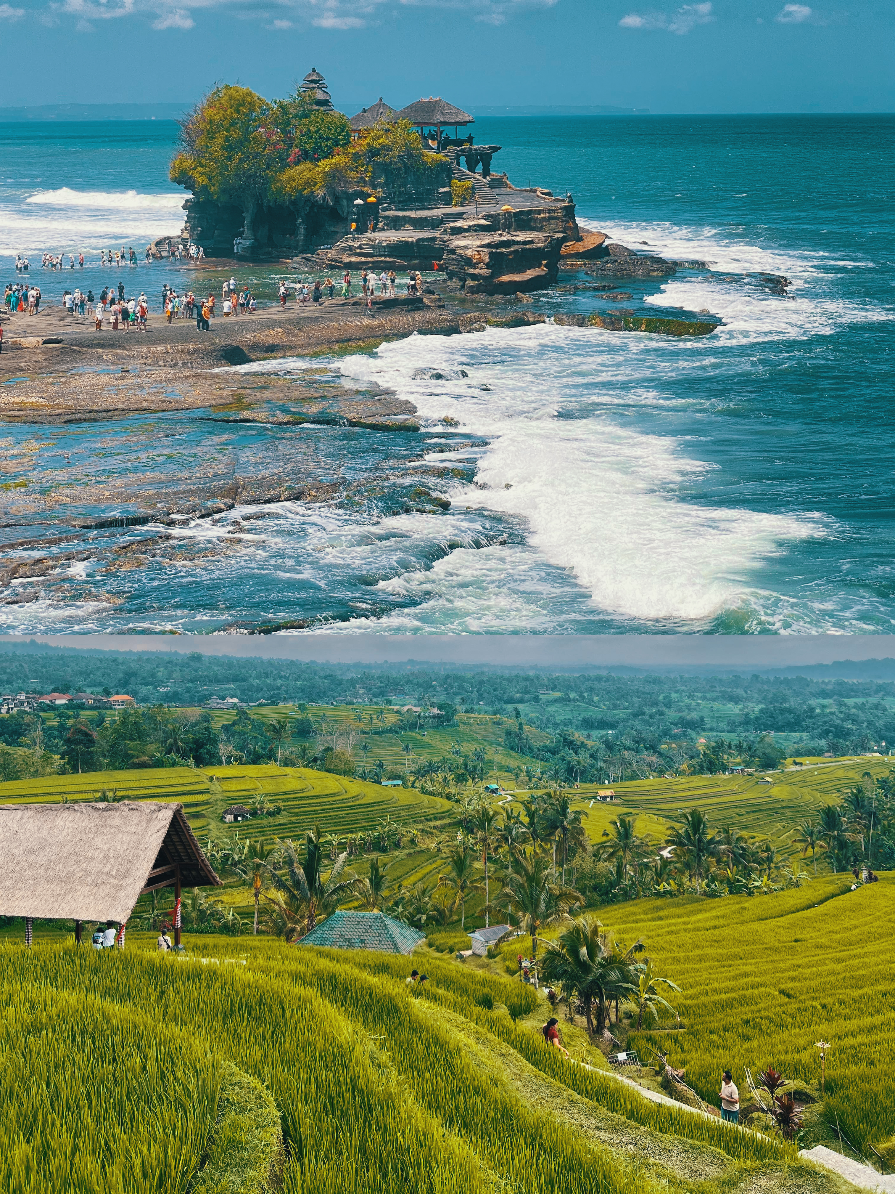 jatiluwih rice terraces, jatiluwih ricefields private tour, jatiluwih tour, tanah lot temple, tanah lot fullday tour, taman ayun temple, taman ayun, ulun danu beratan temple, ulun danu temple, ulun danu tour