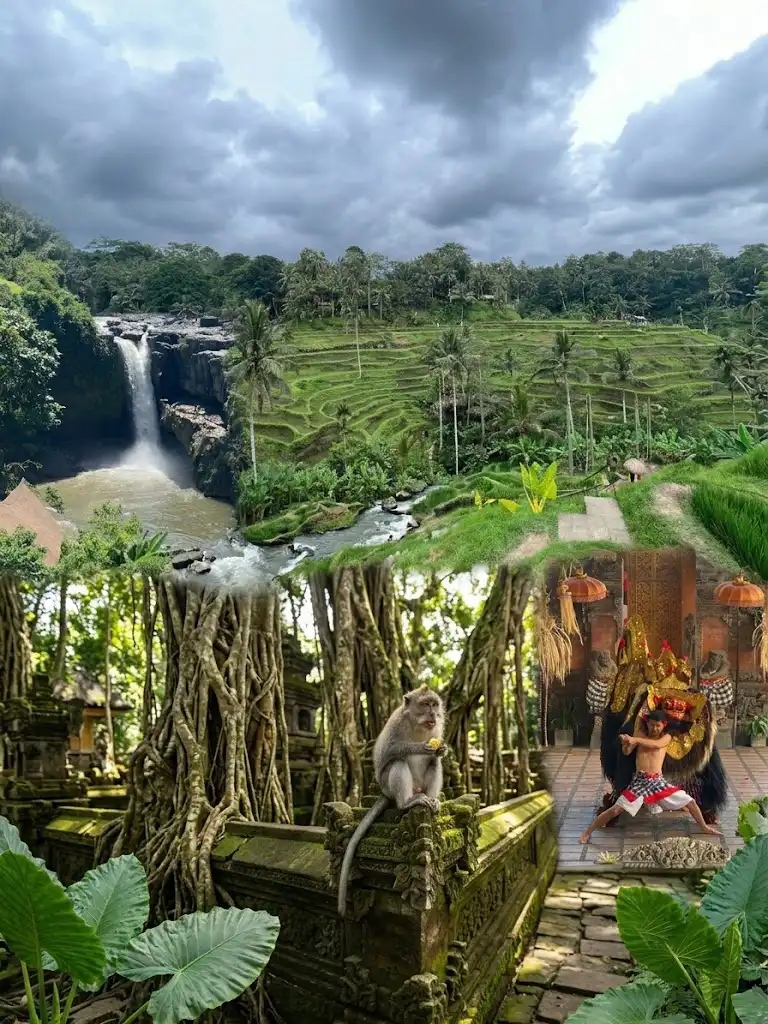 Ubud Private Tour - Rice Terraces, Monkey Forest, Waterfall Full-Day Trip